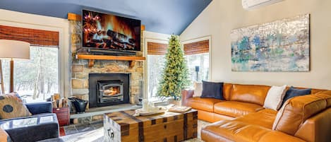 Télévision, cheminée, livres, chaîne hi-fi