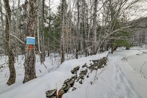 Terrain de l’hébergement 