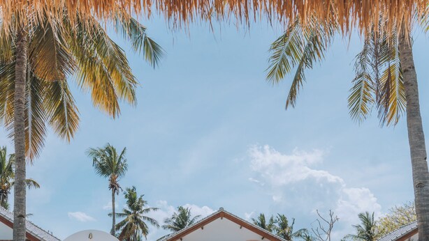 A pool area with a thatched roof, palm trees, and a white wall with wooden doors. - Lumora Boutique Villas (Gili Trawangan)