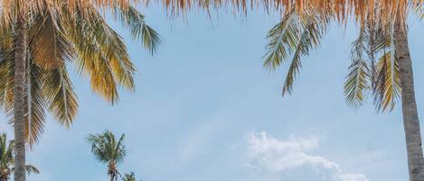 Villa Deluxe | Alberca privada