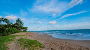 A beach with palm trees and ocean waves.