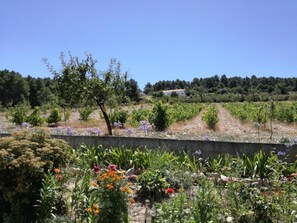 Property grounds - Träumende Aussichten im Douro by Interhome (Freixo Espada à Cinta)