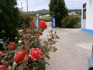Property grounds - Die typischste Region Portugals by Interhome (Famalicão)