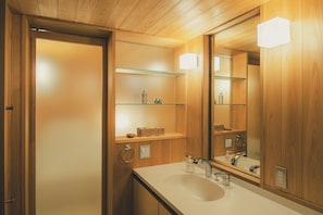 Hair dryer, towels, shampoo, toilet paper