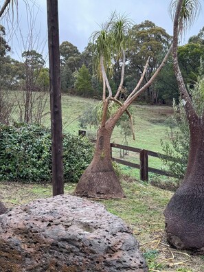 Shared Dormitory, 1 Bedroom, Accessible, Smoking | Property grounds - Room-hepburn Springs Formally David Brom (Hepburn Springs)