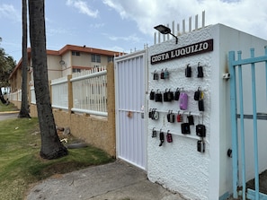 Property grounds - Spacious, bright, and airy oceanfront 3-bedroom apartment in serene Luquillo (Luquillo)