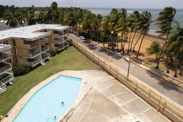 A hotel with a swimming pool, a beach view, and palm trees. - Spacious, bright, and airy oceanfront 3-bedroom apartment in serene Luquillo (Luquillo)