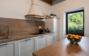 Fridge, microwave, stovetop, dishwasher - 3 bedroom lovely apartment in Lokve (Lokve)