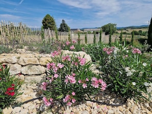 Property grounds - Charmante Ferienwohnung La Martinelle by Interhome (La Begude de Mazenc)