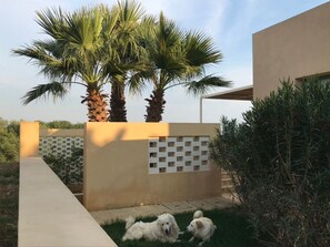 Property grounds - Haus der Palme in Menfi by Interhome (Menfi)