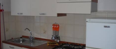 Fridge, oven, cookware/dishes/utensils