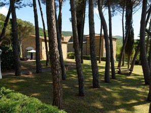 Property grounds - für 2 Personen  + 1 Kind ca. 65 m² in Cortona, Toskana (Provinz Arezzo) by Interhome (Cortona)
