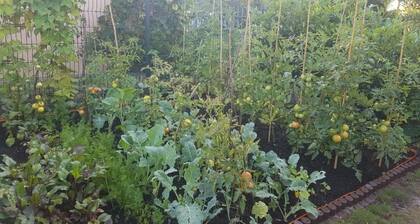 Appartement in Żarnowska mit Großem Garten by Interhome