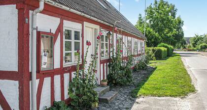 3 bedroom amazing home in Assens