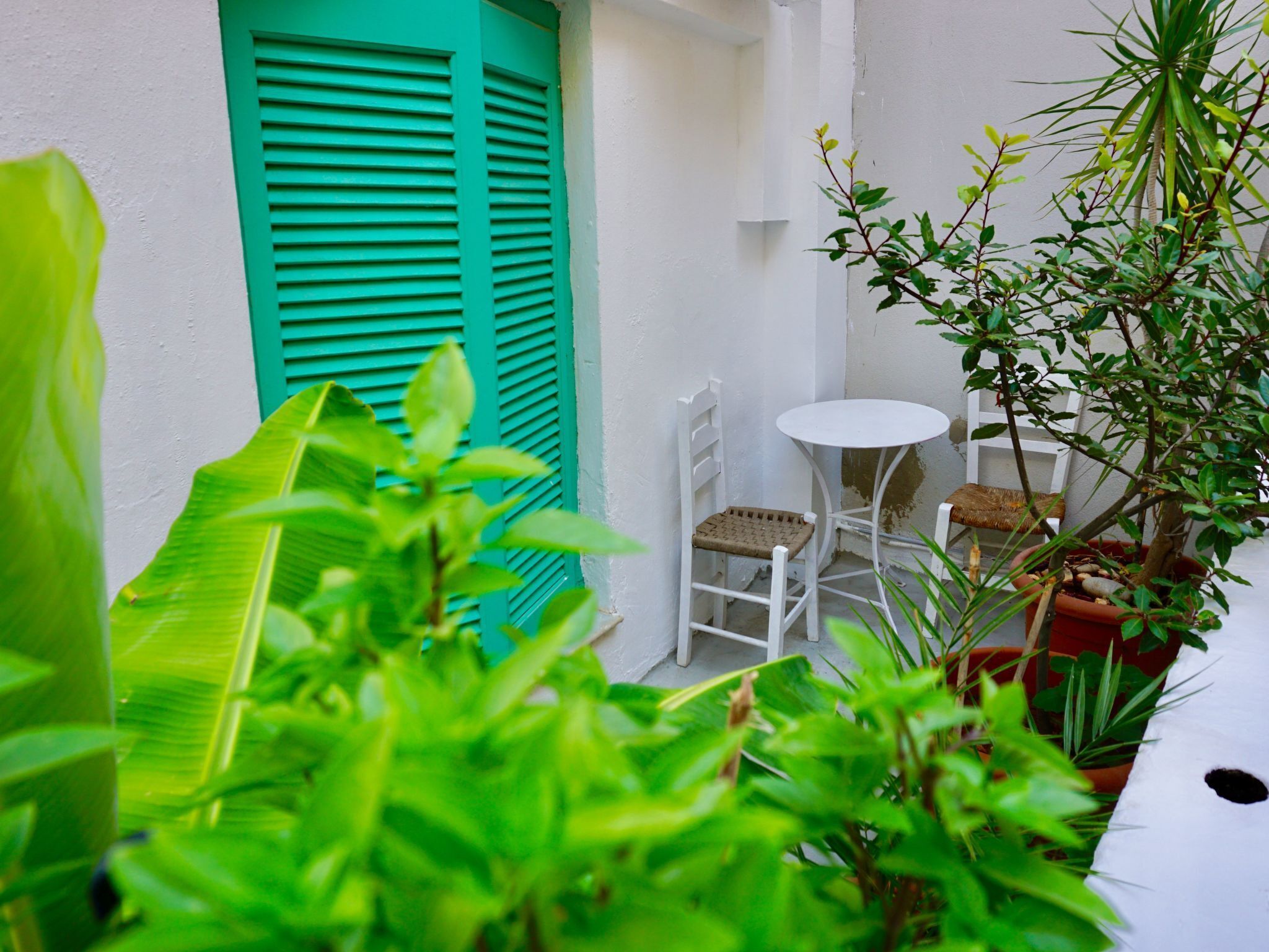 Overnattingsstedets uteområder