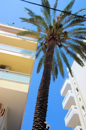 Exterior detail - CostaMare Boutique Apart - Ein perfekter Ausgangspunkt für Ihre Erkundung von R by Interhome (Faliraki)
