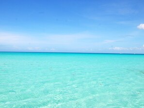 海灘