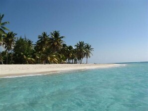Playa