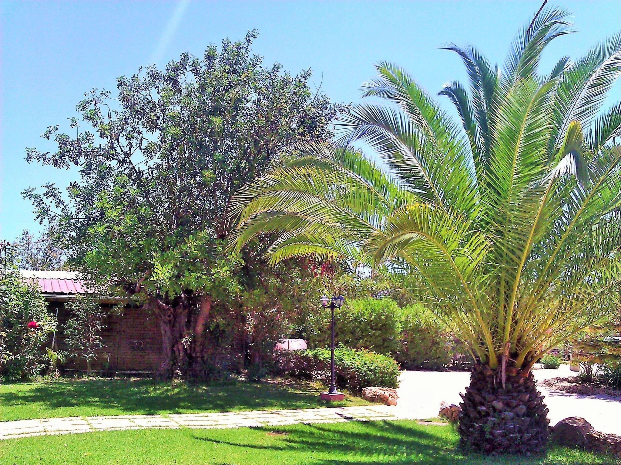 Áreas de la propiedad