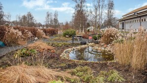 En have med et bassin, bænke og forskellige planter.