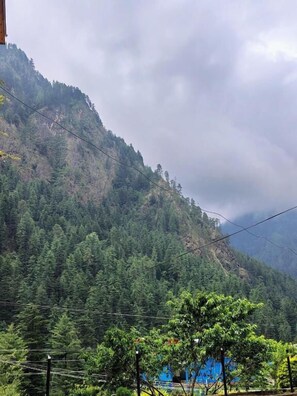 Miscellaneous - Brother's In Mountains (Kasol)