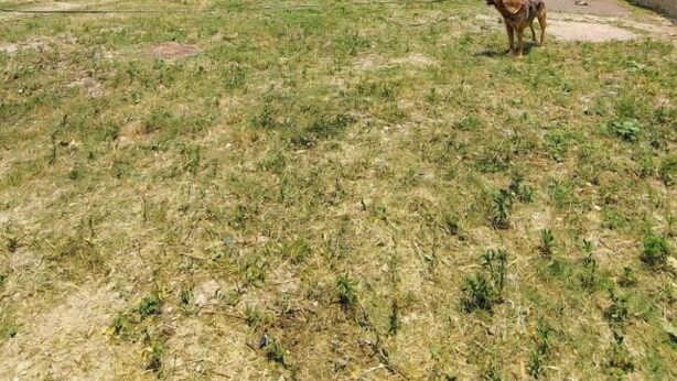 Sınıflandırılmamış resim, 19 üzerinden 1, düğme