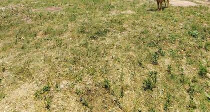 Brother's In Mountains