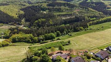 A rural landscape with fields, trees, and a few houses.
