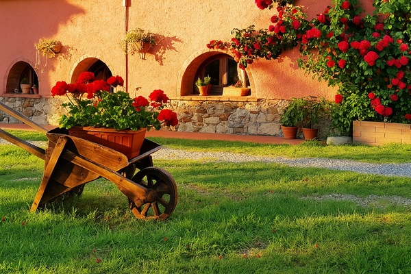Autumn, Garden, Summer, Winter
