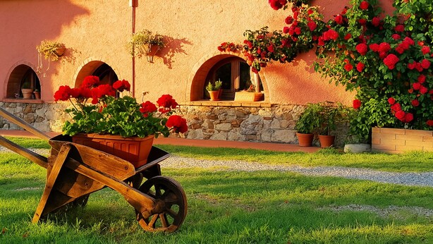 A wheelbarrow with a potted plant in front of a building with arched windows and a stone wall. - Apartment in San Vincenzo with 1 bedrooms sleeps 2 (San Vincenzo)