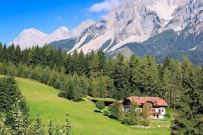 Exterior - Apartment with 1 bedroom (Ramsau am Dachstein)