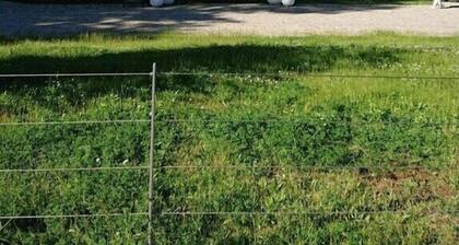 Ferienwohnung mit 2 Schlafzimmer