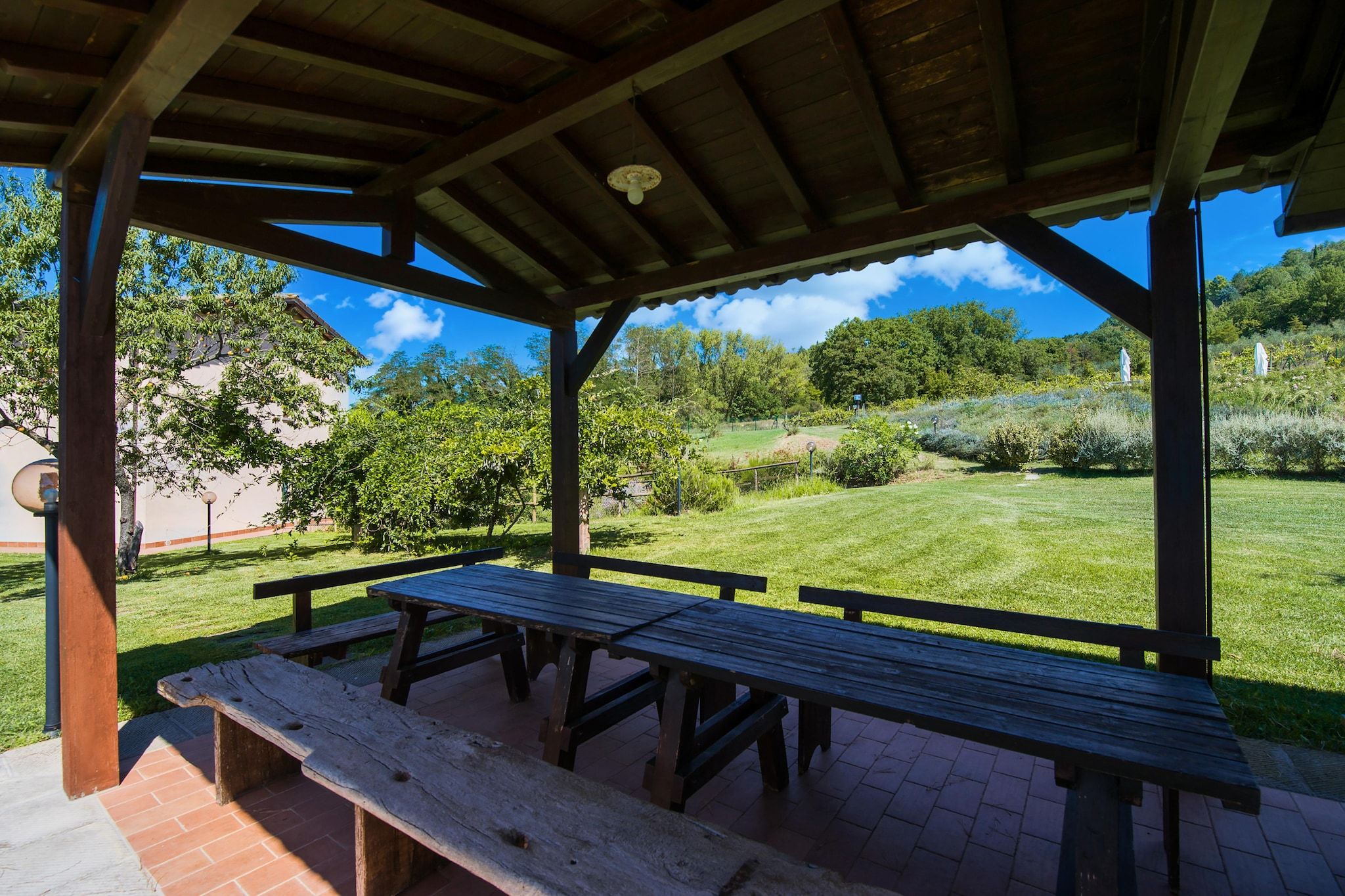 Een overdekte picknickplaats met banken en uitzicht op een grasland.