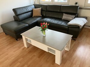 TV, stereo - 20 km Panoramic View, 3-Bedroom Apartment with Air Conditioning (Freiberg am Neckar)