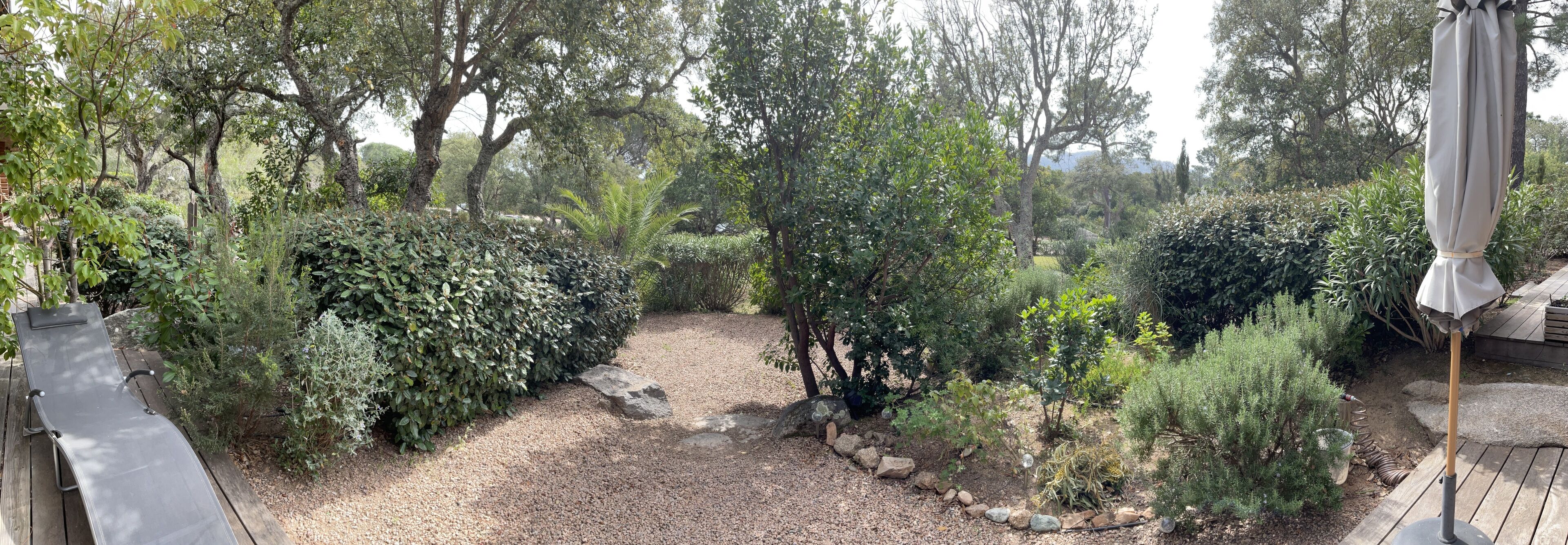 Een tuin met een grindpad, verschillende struiken en bomen.