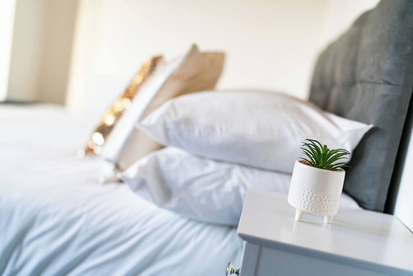 A neatly made bed with white linens and a grey headboard. There is a white bedside table with a small potted plant on it.