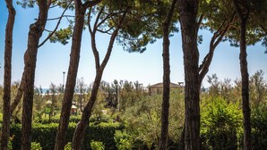 De grands arbres aux feuillages denses, une pelouse bien entretenue et un bâtiment situé au loin.