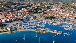 A coastal town with a marina filled with boats. - Calm escape in seaside resort (Palau)