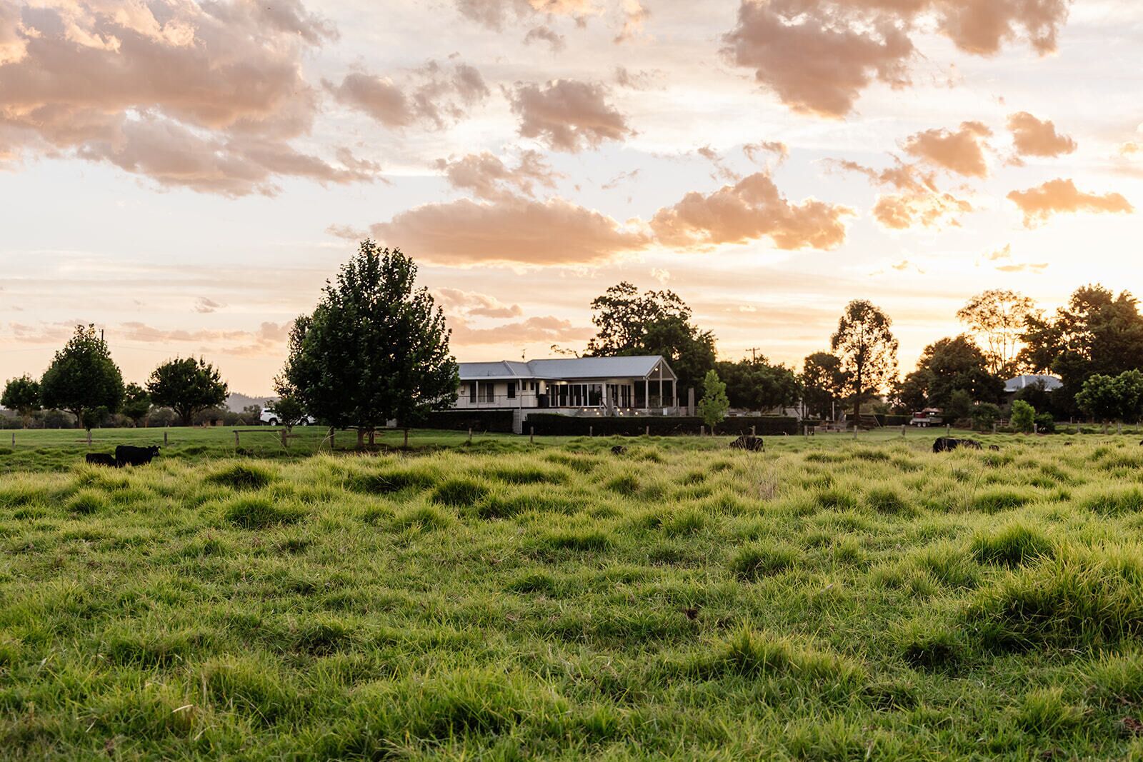 A rural landscape with a large open field, a farmhouse, and a few trees.