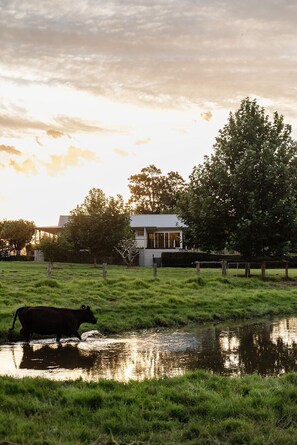 المنطقة المحيطة بالمنشأة