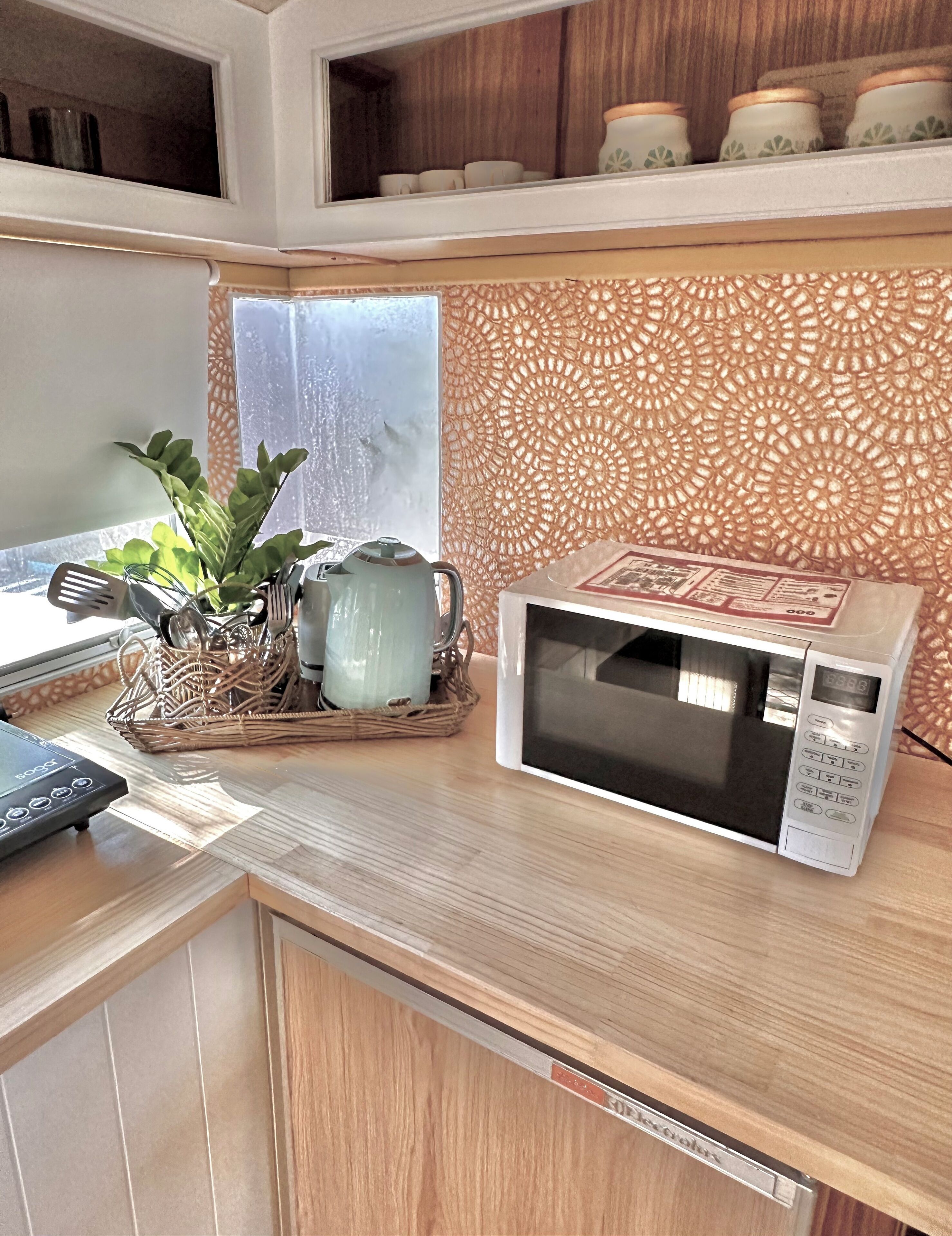 Une cuisine équipée d’un four à micro-ondes, d’une bouilloire et d’une plante posée sur le plan de travail.