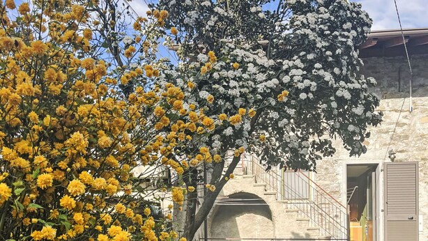 A stone building with a staircase leading to an entrance, surrounded by flowering trees. - Wonderful private villa for 4 guests with WIFI, TV, terrace and pets allowed (Talamona)
