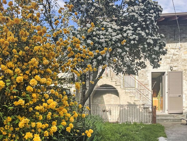 Un bâtiment en pierre avec un escalier menant à l’entrée, entouré d’arbres en fleurs.