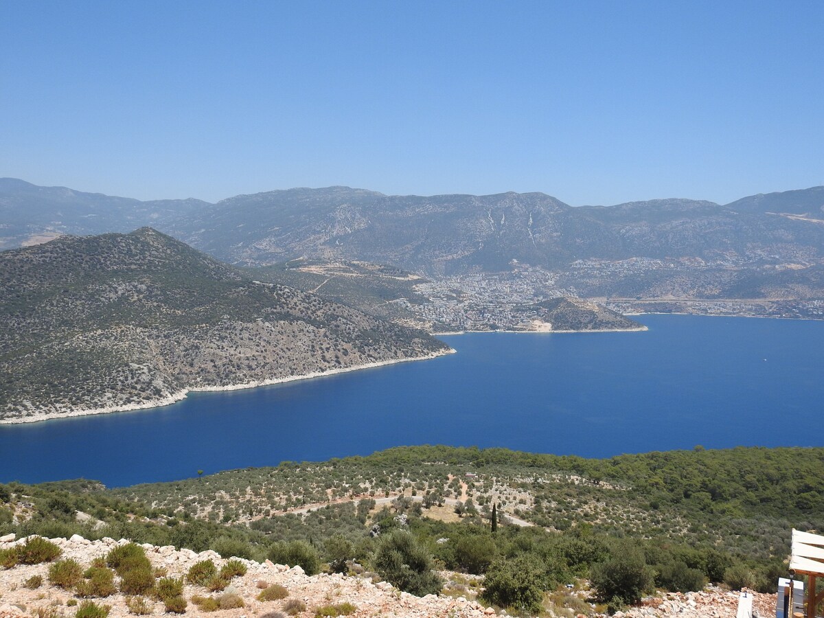 Imagen de perfil del propietario o de la propietaria