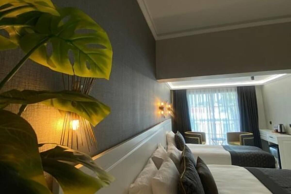 A hotel room with a bed, bedside tables, a desk, and a large plant.