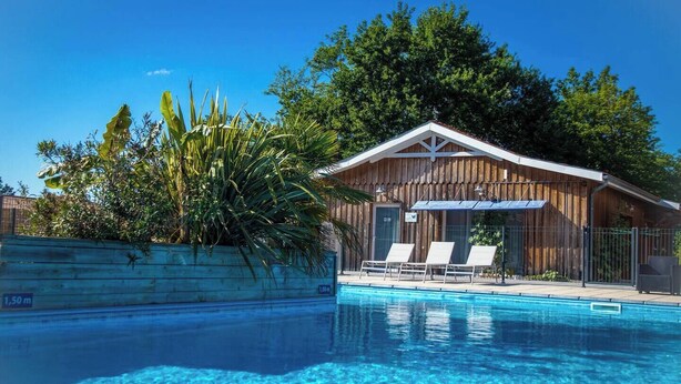 Une cabane en bois avec une piscine, entourée d’une végétation luxuriante et d’arbres.