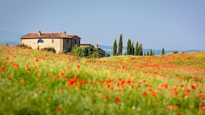 A stone building with a tiled roof, surrounded by a field of red poppies. - Comfy Accommodation With Balcony (Eraclea)