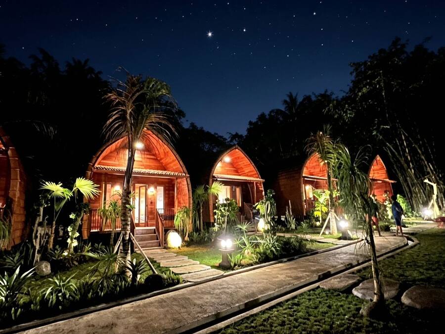 Una hilera de cabañas de madera con un sendero que las conduce, rodeadas de vegetación tropical.
