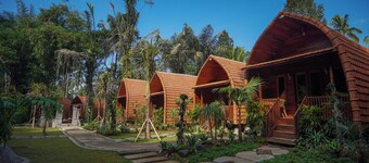 The Jungle Pots