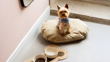 A small dog on a beige cushion with two bowls of food beside it.